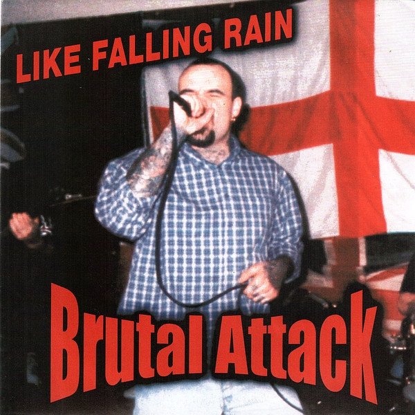 Like Falling Rain - album