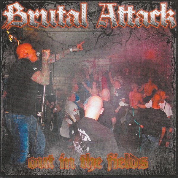 Brutal Attack Out In The Fields, 2012