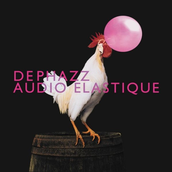 Audio Elastique Album 