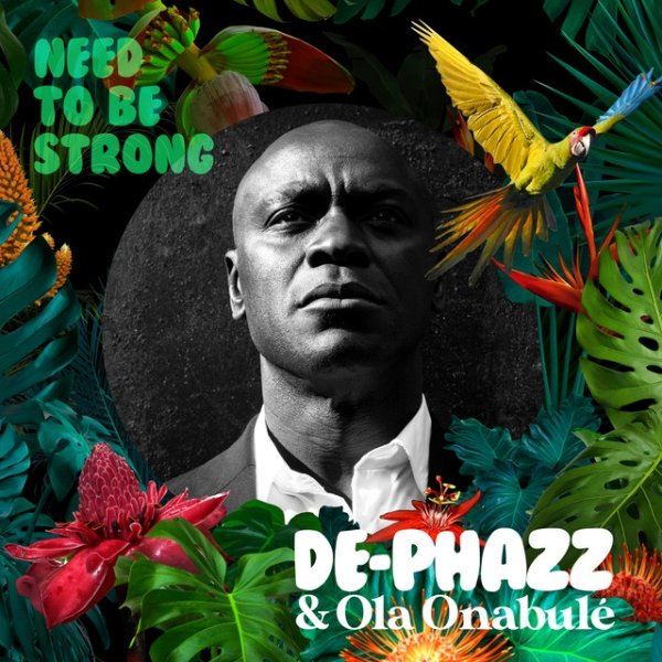 Need to Be Strong Album 