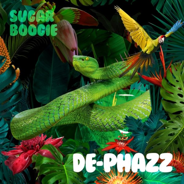 Sugar Boogie Album 