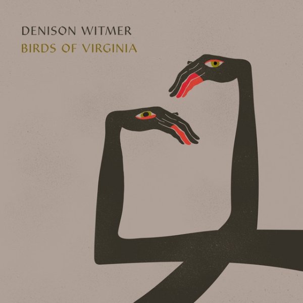 Birds of Virginia - album