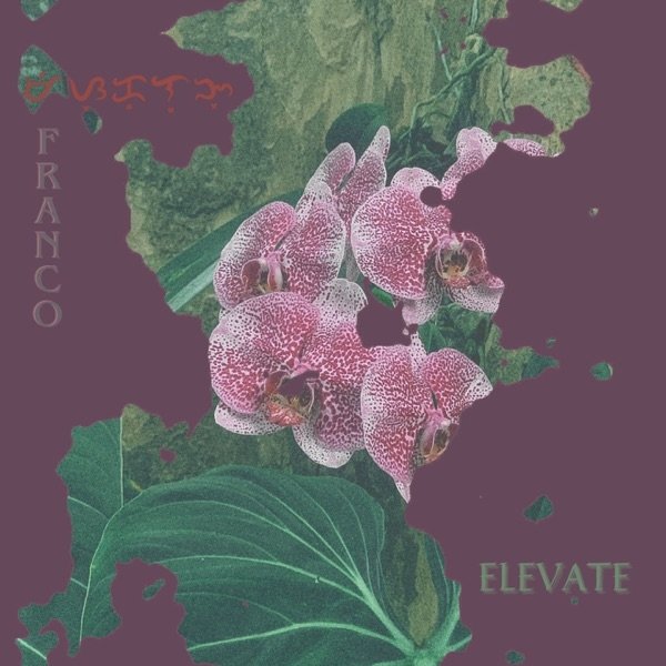 Elevate Album 