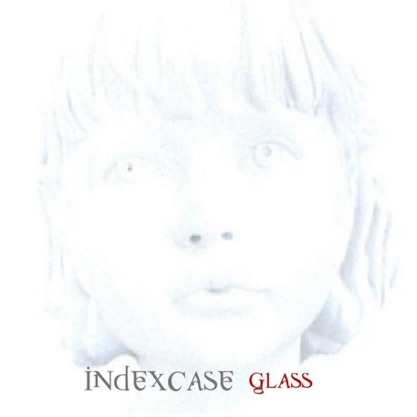 Glass Album 