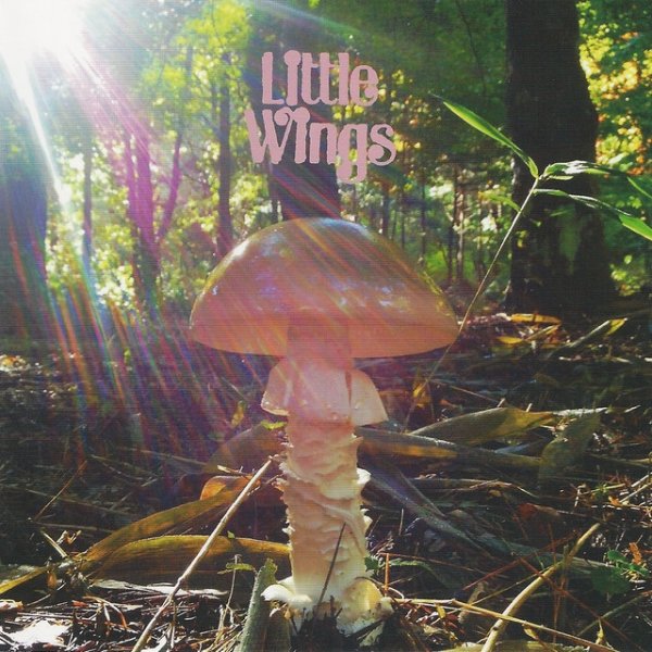 Album Little Wings - Last