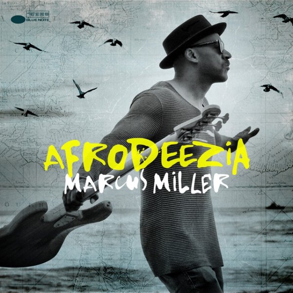 Album Marcus Miller - Afrodeezia