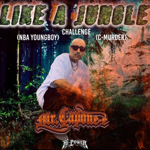 Like A Jungle - album