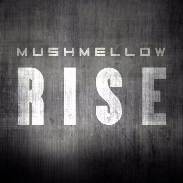 Mushmellow RISE, 2017