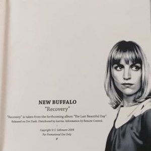 New Buffalo Recovery, 2004