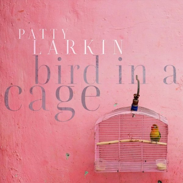 Patty Larkin Bird in a Cage, 2020