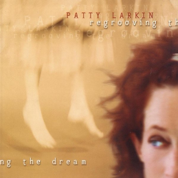 Patty Larkin Regrooving The Dream, 2000