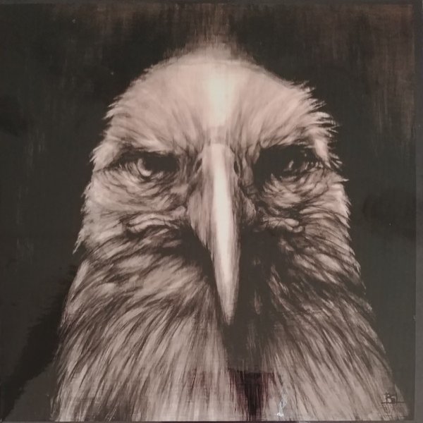 Peter Mulvey Bird Of Prey, 2019