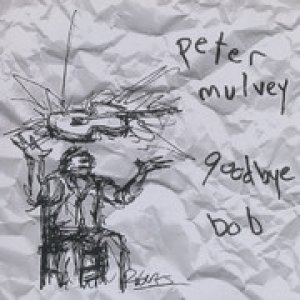 Album Peter Mulvey - Goodbye Bob