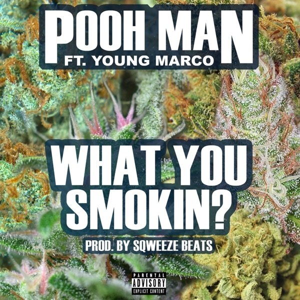 What You Smokin? Album 