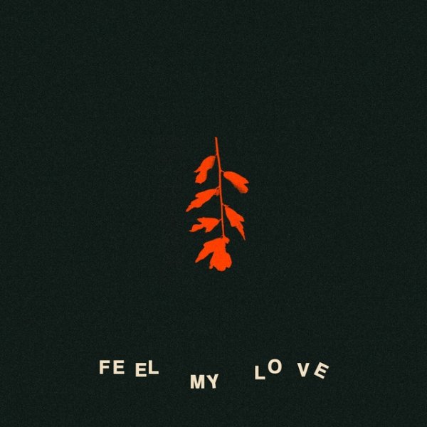 Feel My Love Album 