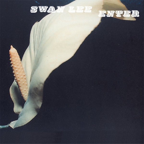 Swan Lee Enter, 2001