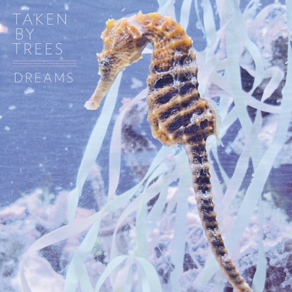 Taken by Trees Dreams, 2012