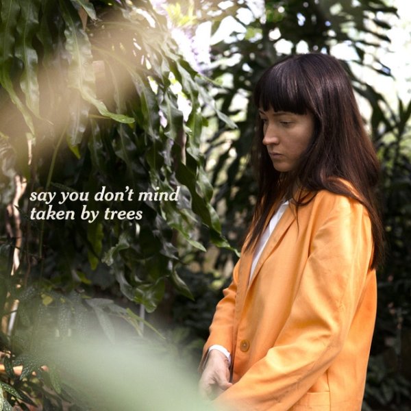 Say You Don't Mind - album