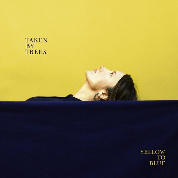 Taken by Trees Yellow to Blue, 2018