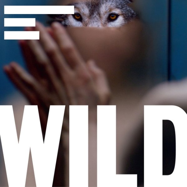 Wild Soundtrack - album