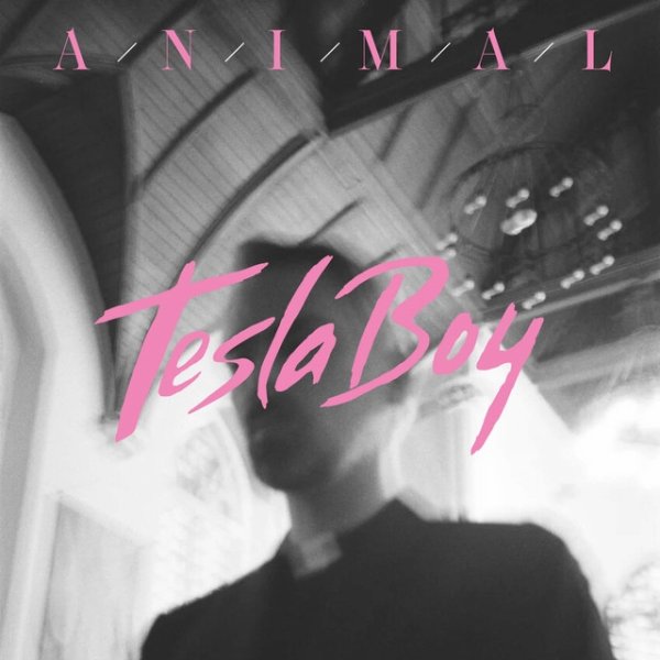 Album Tesla Boy - Animal