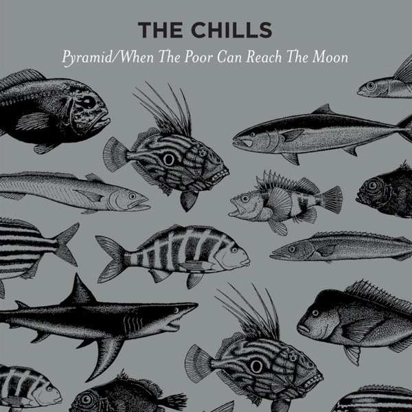 Album The Chills - Pyramid / When the Poor Can Reach the Moon