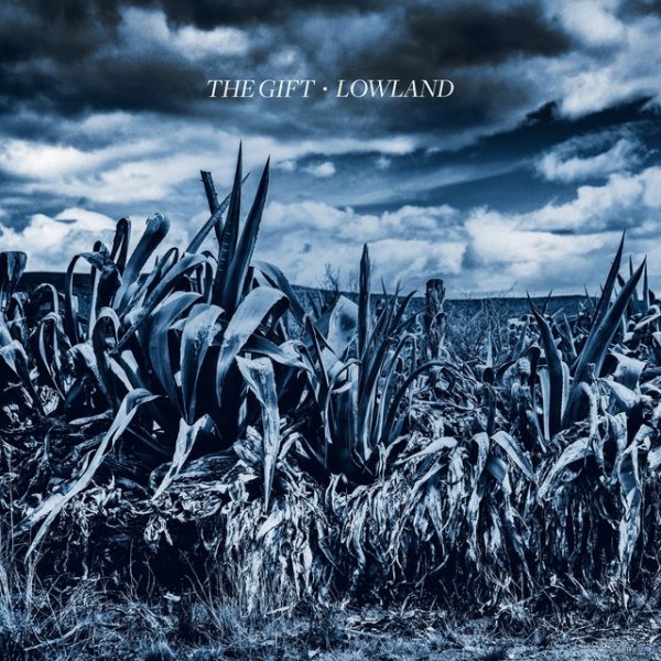 Lowland Album 