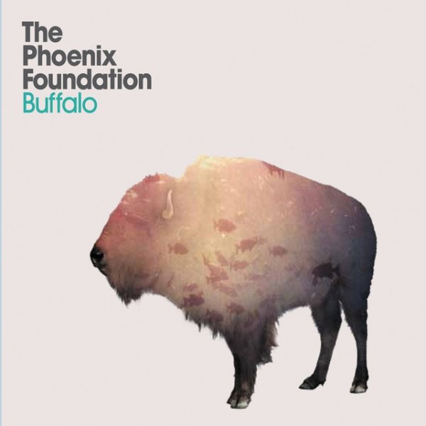 Buffalo Album 