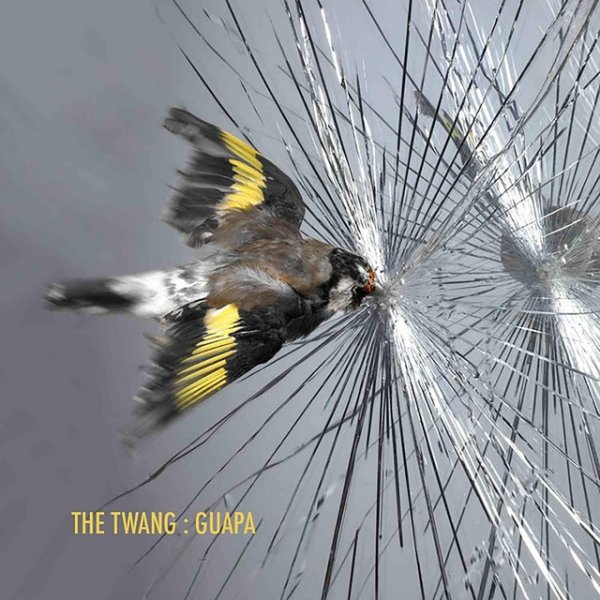 Album The Twang - Guapa