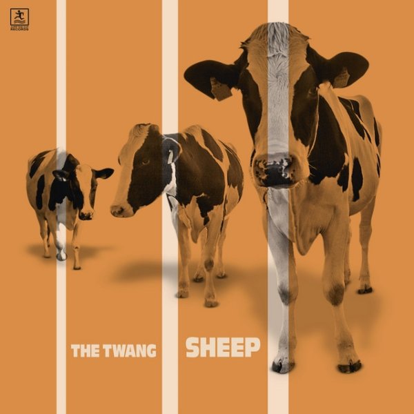 Album The Twang - Sheep