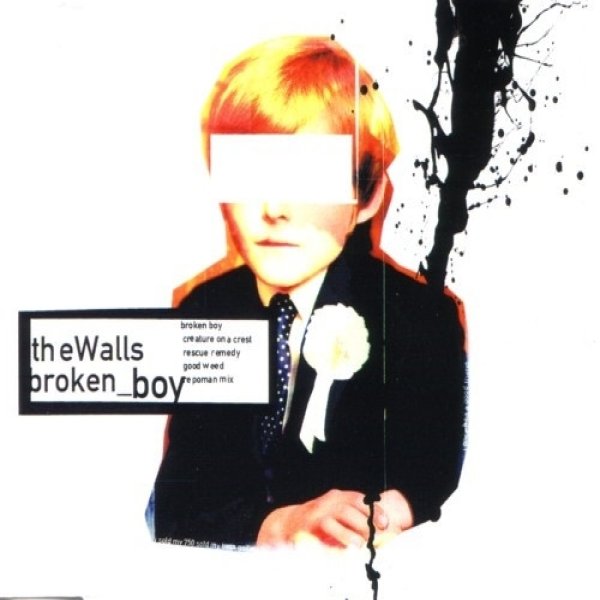 The Walls Broken_Boy, 1999