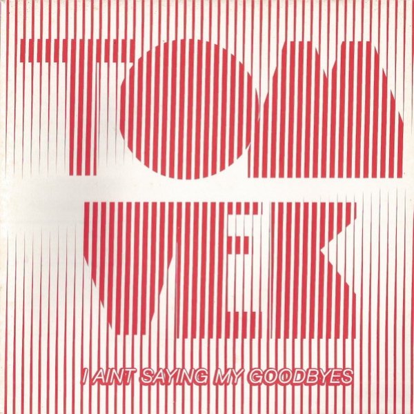 Album Tom Vek - I Aint Saying My Goodbyes