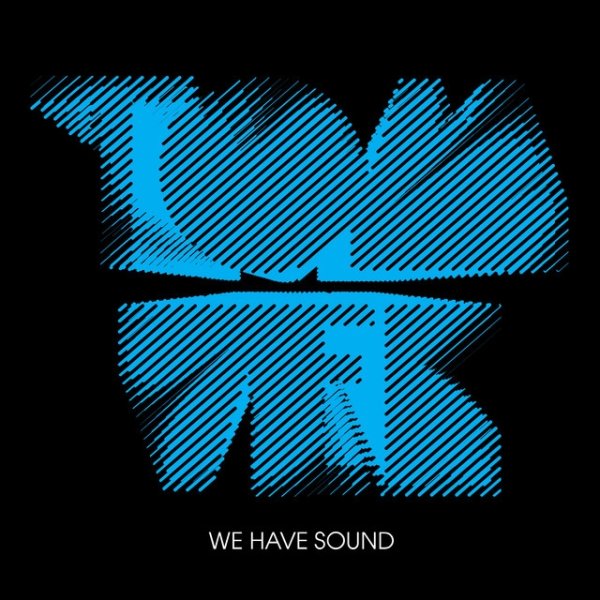 Tom Vek We Have Sound, 2005