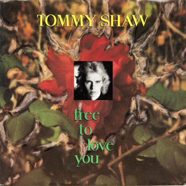 Free To Love You - album