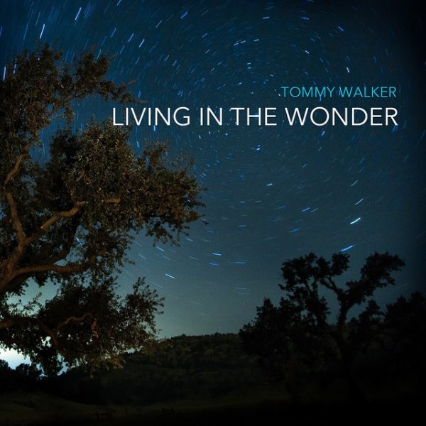 Living in the Wonder Album 