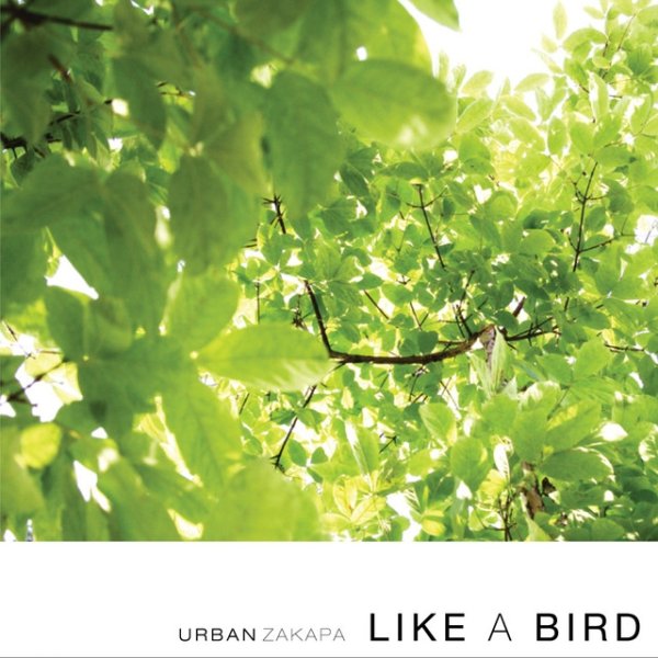 Like A Bird Album 