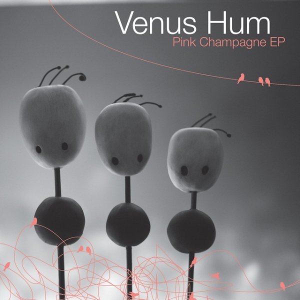 Venus Hum Pink Champagne, 2006