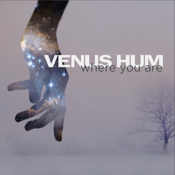 Album Venus Hum - Where You Are