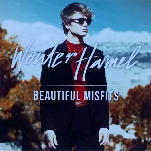 Wouter Hamel Beautiful Misfits, 2014