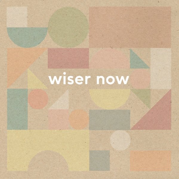 Wouter Hamel Wiser Now, 2017