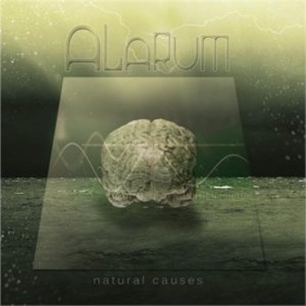 Album Alarum - Natural Causes