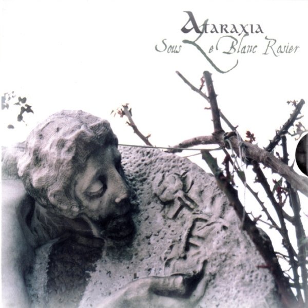 Ataraxia Sous Le Blanc Rosier, 2007