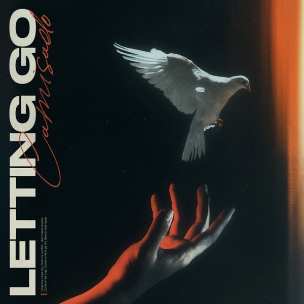 Letting Go - album