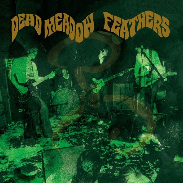 Dead Meadow Feathers, 2005