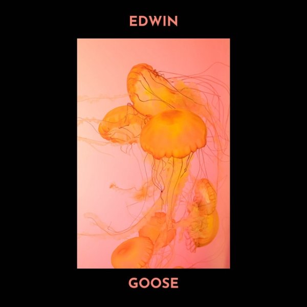 Album Edwin - Goose