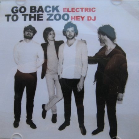 Go Back to the Zoo Electric / Hey DJ, 2010