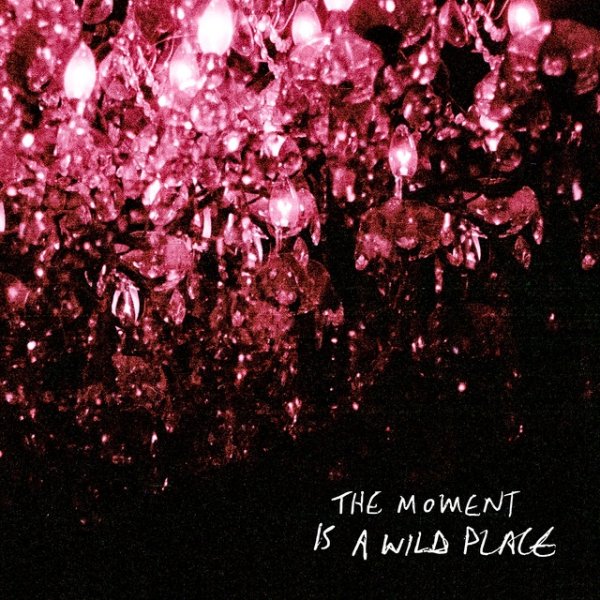 The Moment Is A Wild Place - album