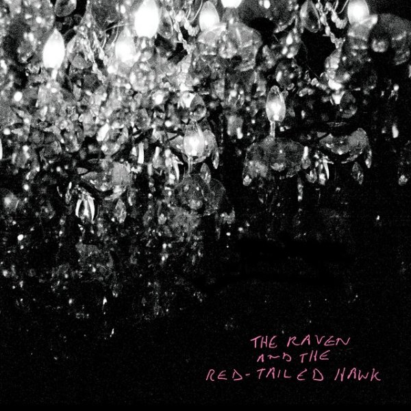 Album Gordon Downie - The Raven And The Red-Tailed Hawk