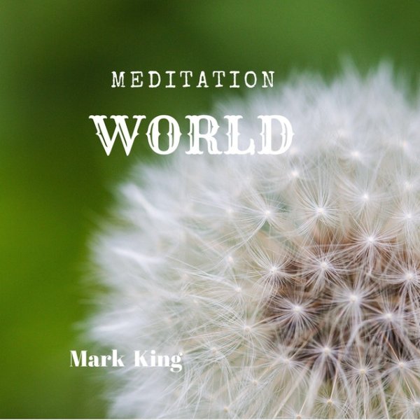 Meditation World - album