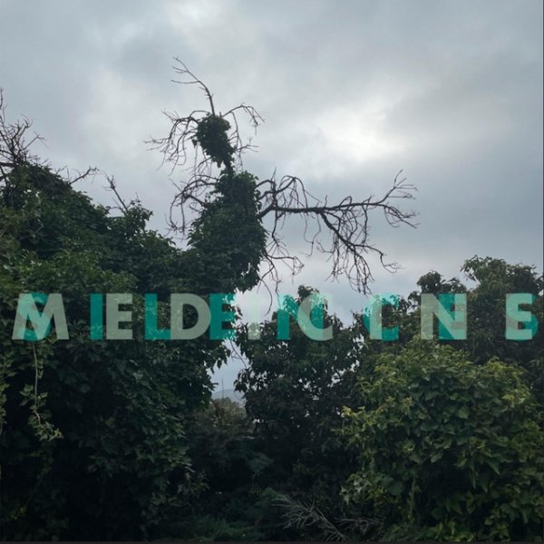 Album Medicine - Silences